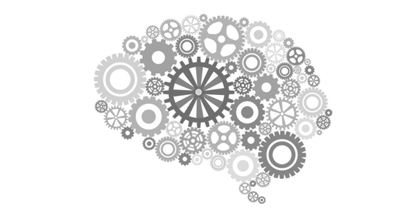 cebrero-engranajes-2